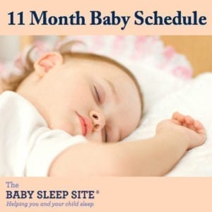 11 Month Old Baby Schedule