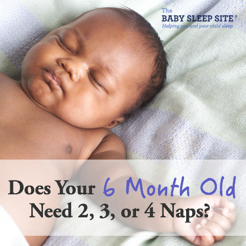 Does Your 6 Month Od Baby Need 2, 3, or 4 Naps?